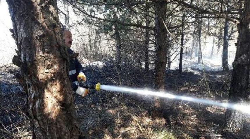 Keşan&rsquo;Da Orman Yangını