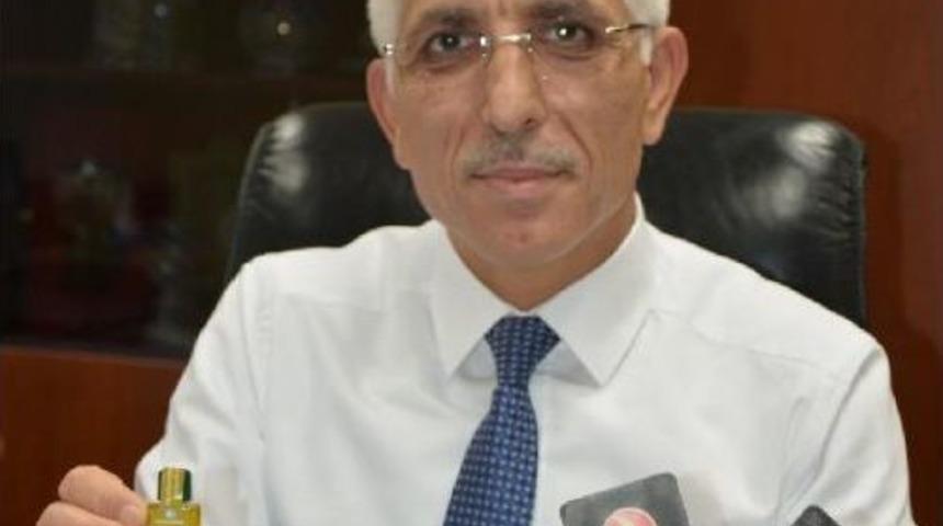 Gökyüzünde Zeytinyağı Servisi