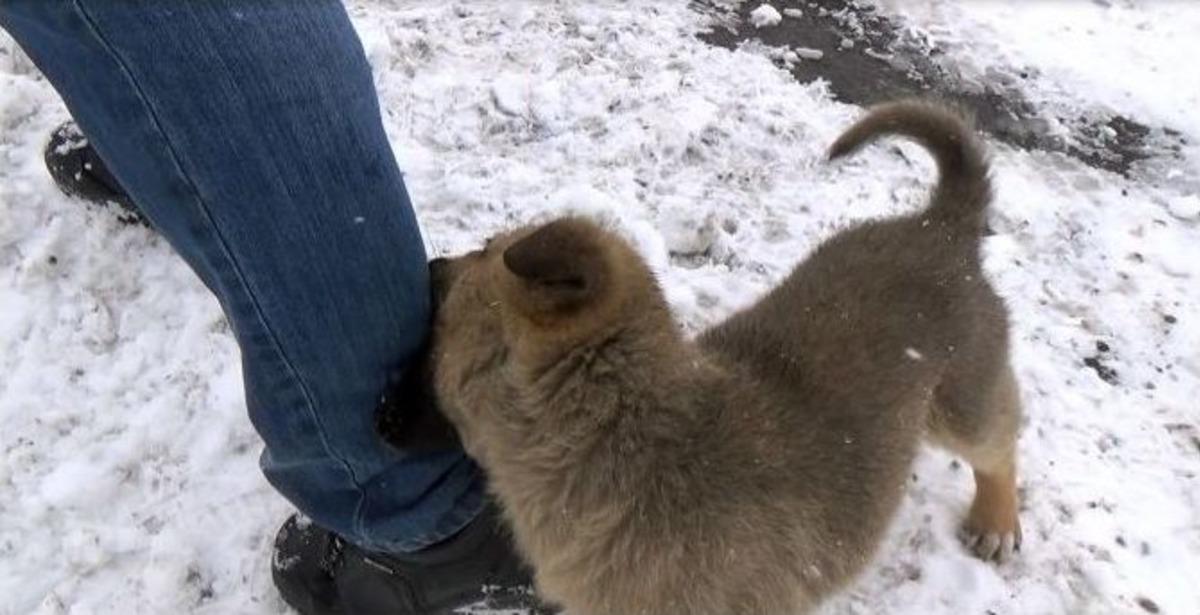 Kars&rsquo;ta Kış Lastiği Uygulaması