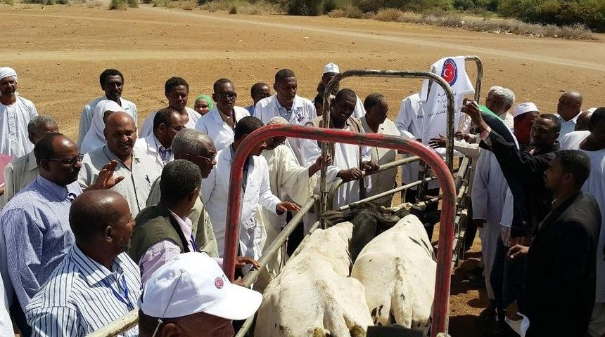 Tika Sudan Suni Tohumlama Merkezinde &Uuml;r&uuml;n Satışlarına Başlandı