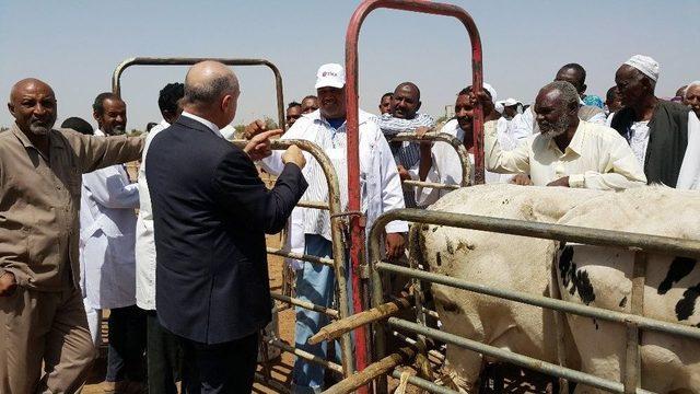 Tika Sudan Suni Tohumlama Merkezinde Ürün Satışlarına Başlandı