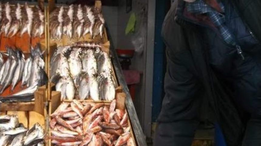 Trabzon&rsquo;da Hamsinin Kilogram Fiyatı 20 Tl&rsquo;ye Y&uuml;kseldi