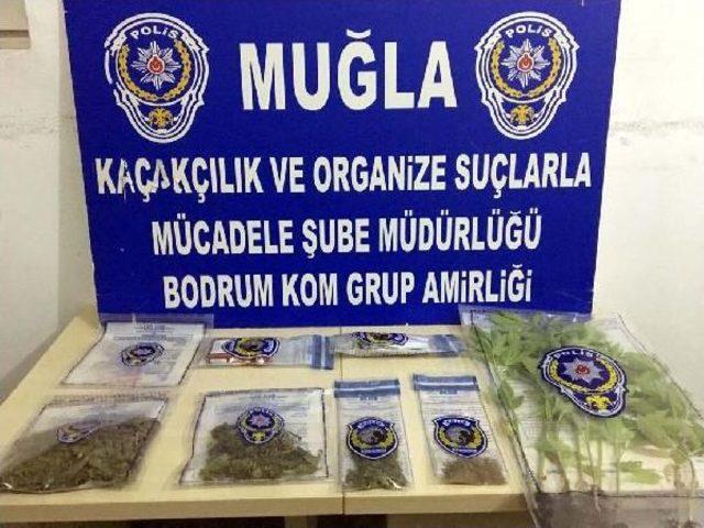 Bodrum'da Uyuşturucu Operasyonu: 1 Tutuklama