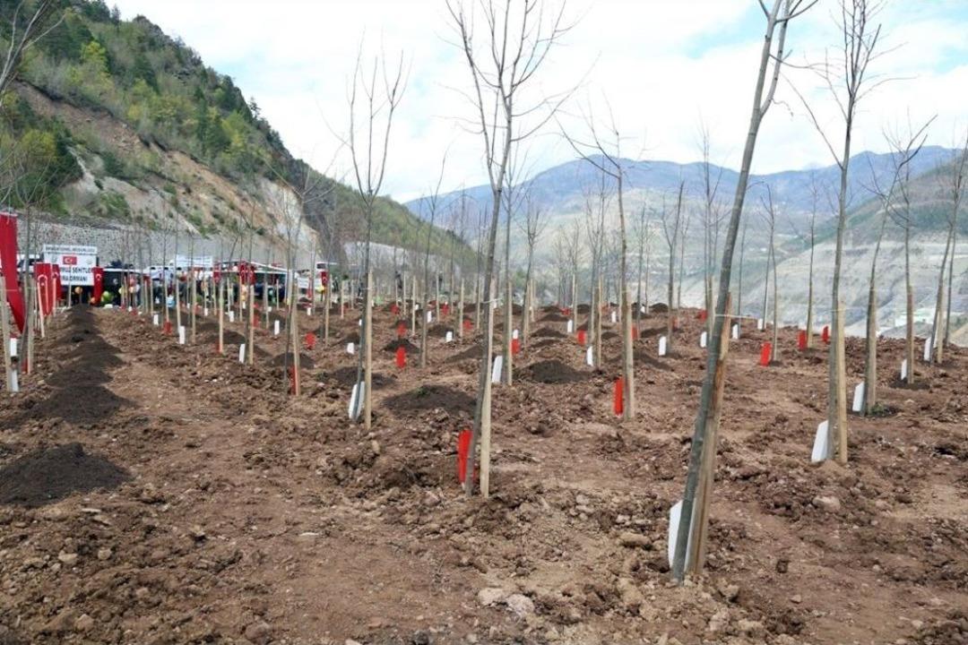 Artvin&rsquo;de 15 Temmuz Şehitleri Hatıra Ormanı Kuruldu