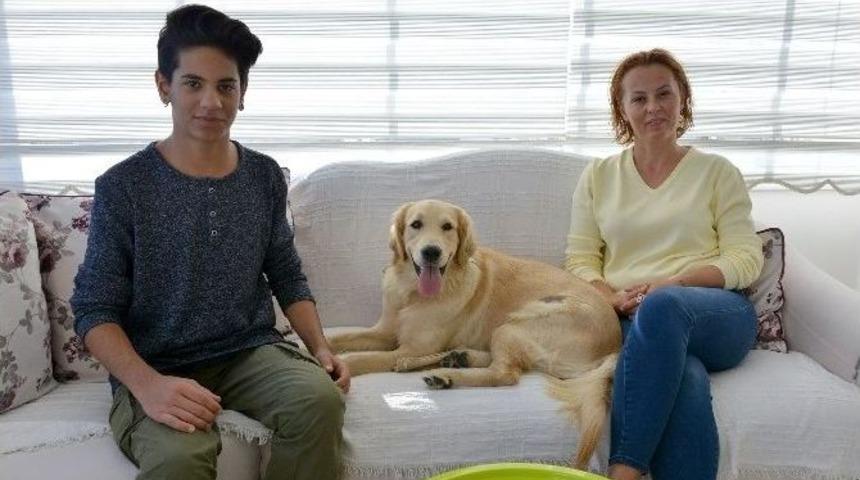 &rsquo;tar&ccedil;ın&rsquo; Yeni Yuvasına Kavuştu