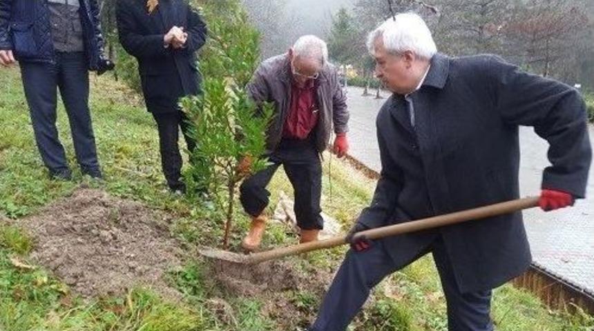 Yaban Hayvanları İ&ccedil;in 4 Bin 500 Meyve Fidanı Toprakla Buluşturuldu