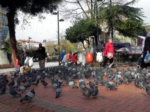 Güvercinler Bu Parkı Çok Sevdi