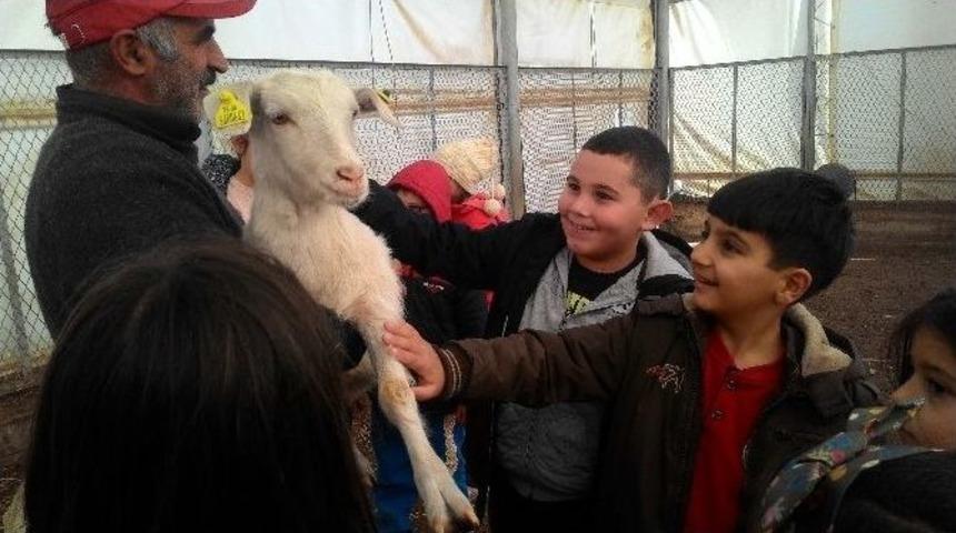 Ke&ccedil;i&ouml;ren Belediyesi&rsquo;nden &ldquo;kışa Merhaba&rdquo; Etkinliği