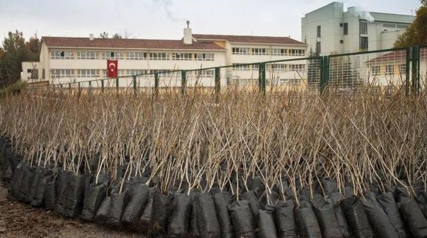B&uuml;y&uuml;kşehir Belediyesi&rsquo;nden &Ccedil;ift&ccedil;iye Destek