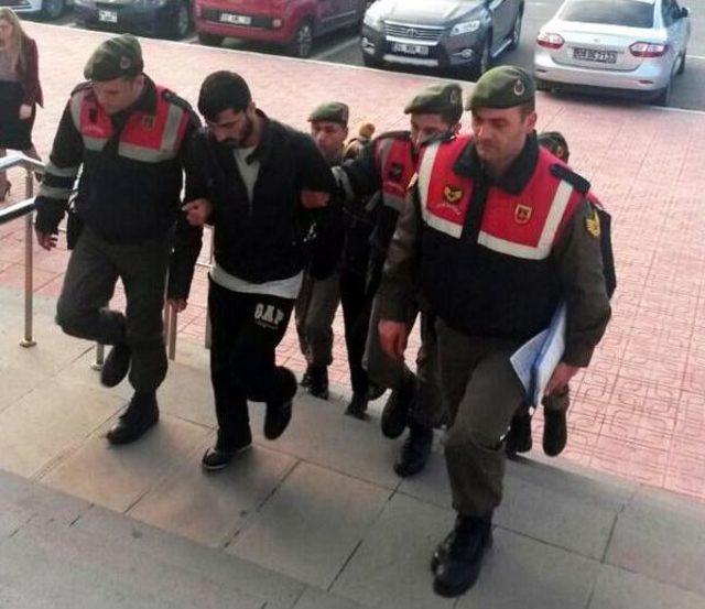 Bodrum'daki Göçmen Kaçakçılığına 2 Yeni Tutuklama