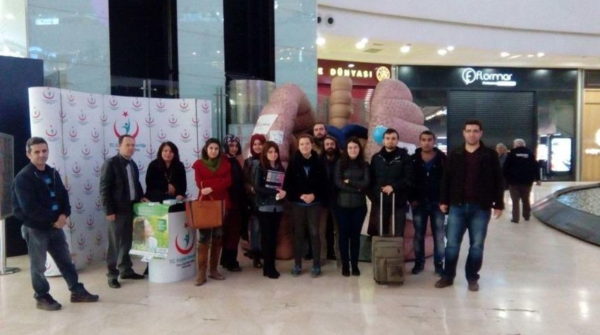 &lsquo;kocaciğer&rsquo; Adlı Maket İlgi Odağı Oldu