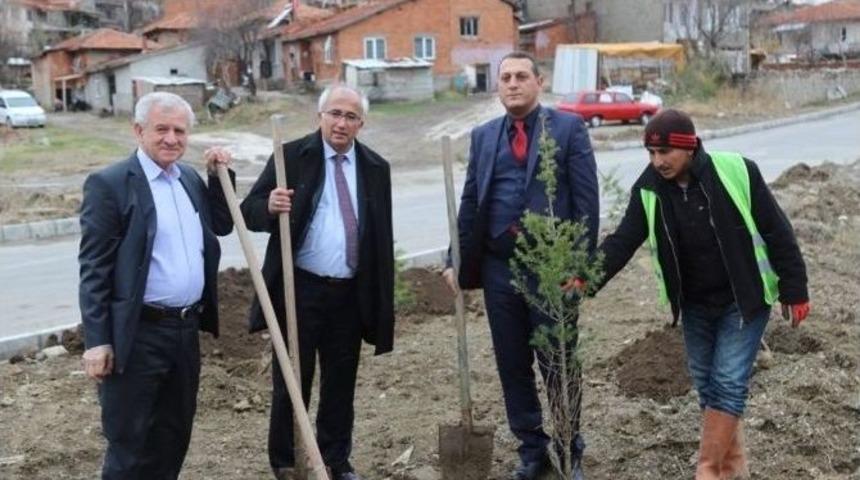 Tavşanlı&rsquo;da 15 Temmuz Hatıra Ormanı Oluşturuldu