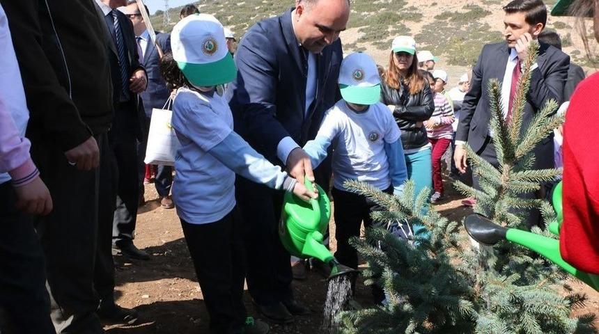 Bereket Ormanı&rsquo;na 5 Bin Fidan