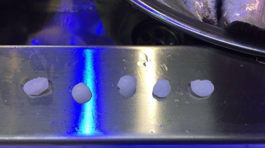 Eşkina Balığının Kafasından &Ccedil;ıkan Taşların B&ouml;brek Taşına İyi Geldiğine İnanılıyor