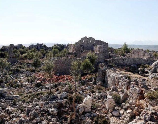 Anadolu'nun En Eski Zeytinyağı Üretim Vakfı