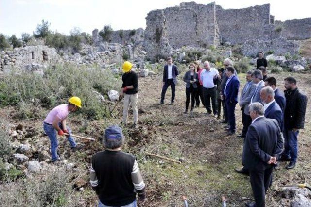 Anadolu'nun En Eski Zeytinyağı Üretim Vakfı