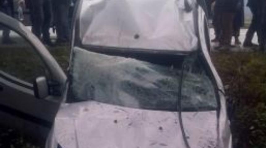 Ağaca &Ccedil;arpan Kamyonet Takla Attı: 1 Yaralı