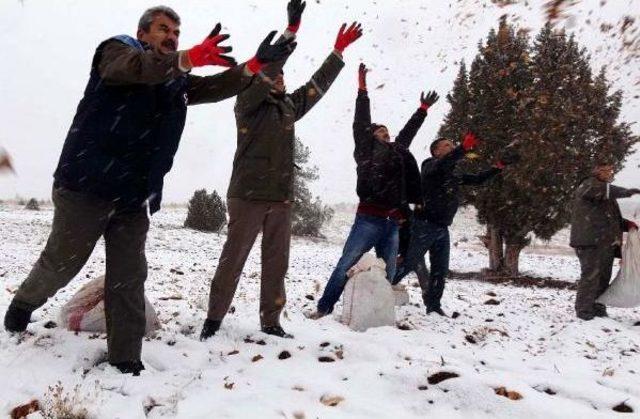 Erdemli’Ye Yılın Ilk Karı Düştü, Ormancılar Sedir Tohumu Seferberliği Başlattı