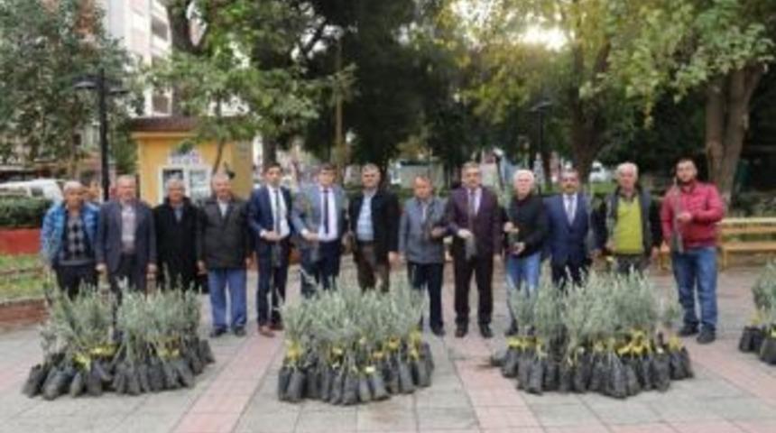 Turgutlulu Zeytin &Uuml;reticileri De Desteklendi