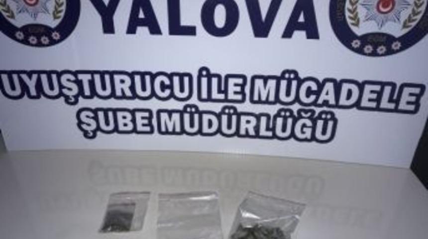 Yalova Ve İstanbul&rsquo;da Bonzai Operasyonu