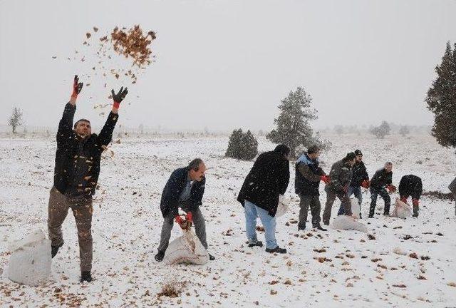 Mersin’e Mevsimin İlk Karı Düştü