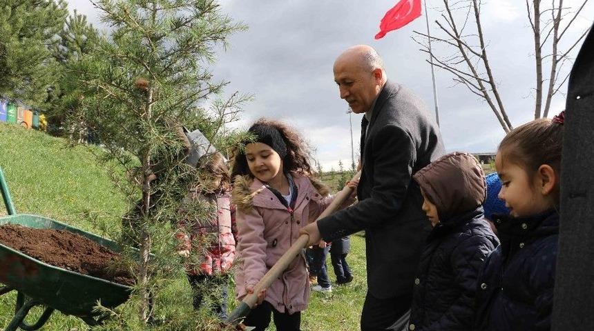 Minik &Ouml;ğrenciler Kamp&uuml;se Fidan Dikti