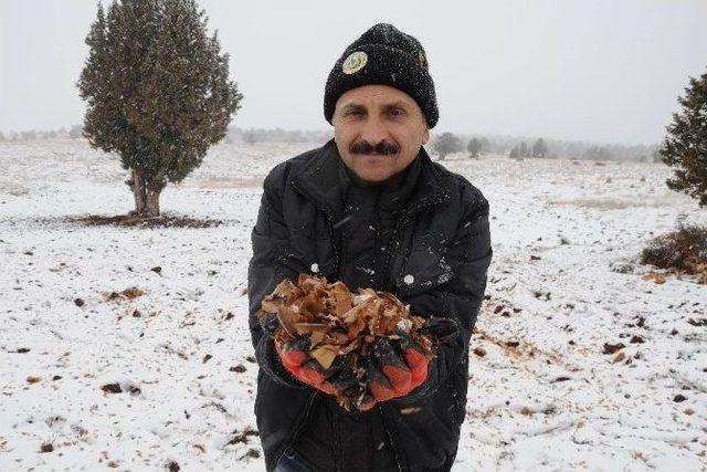 Mersin’e Mevsimin İlk Karı Düştü