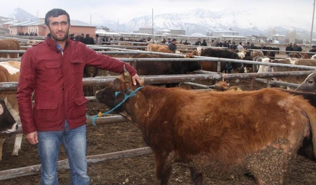 Vanlı &Ccedil;ift&ccedil;ilerin &lsquo;et Fiyatı&rsquo; Tepkisi