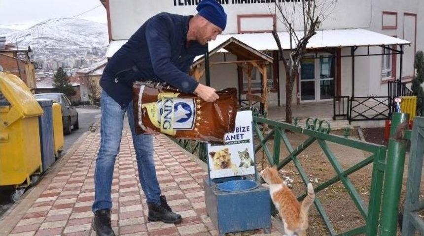 Boz&uuml;y&uuml;k Belediyesi Sokak Hayvanlarının A&ccedil; Ve Susuz Kalmalarına Engel Oluyor