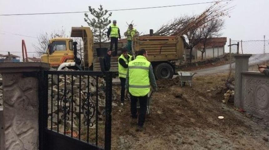 Şehidin İsminin Verildiği Konağın &Ccedil;evre D&uuml;zenlemesi Yapıldı