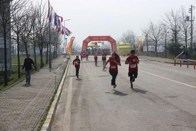 Türkiye Oryantiring Şampiyonası Kocaeli’ye Renk Kattı