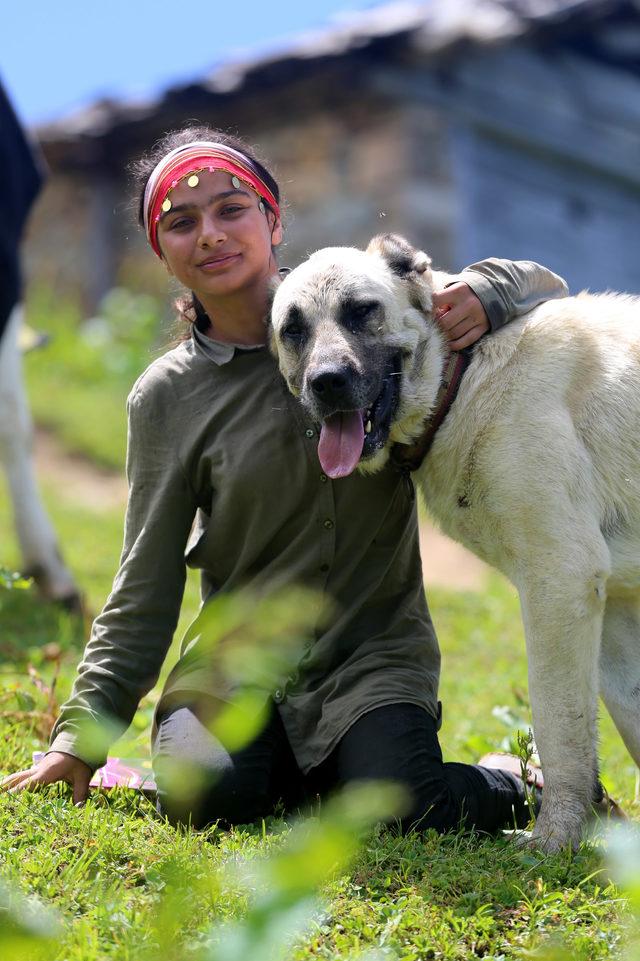 Hamdu Sena'nın köpeği 'Karabaş' öldü, 4 yavruya o 'anne' oldu