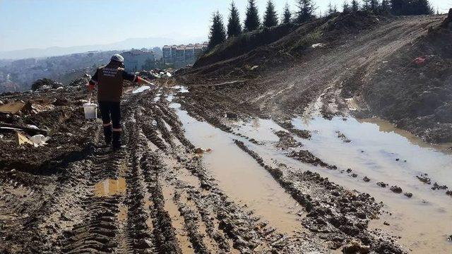 Akçakoca’da Sivrisinekle Mücadele Çalışması Başladı