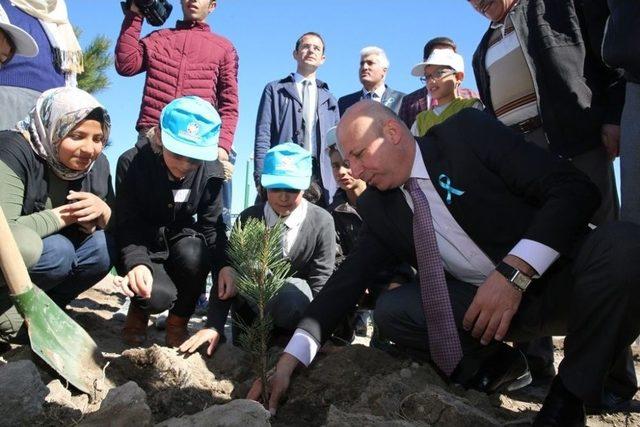 Başkan Çolakbayrakdar, Daha Yeşil Bir Kocasinan İçin Ağaç Dikti