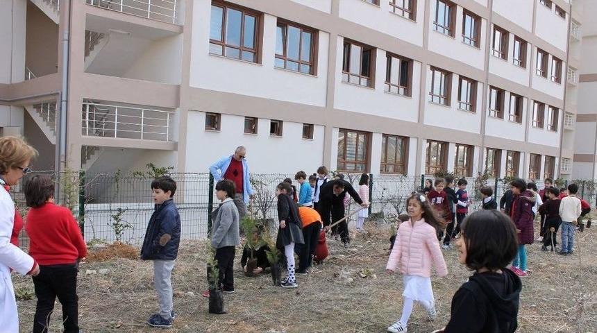 Minik &Ouml;ğrencilerden Fidan Dikimi
