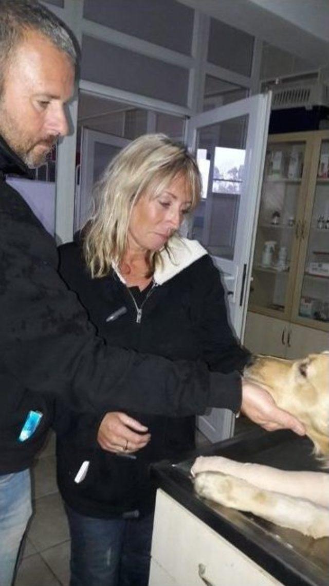 Bunu Yapan İnsan Olamaz 1