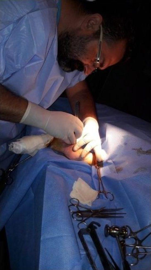 Bunu Yapan İnsan Olamaz 2