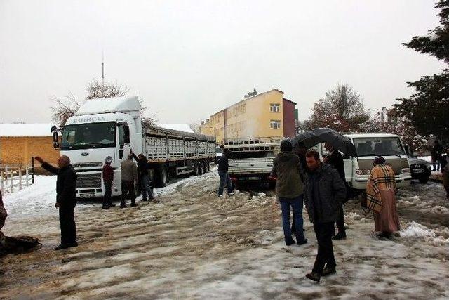 Bingöl’de Çiftçilere Hayvan Desteği