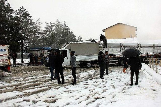 Bingöl’de Çiftçilere Hayvan Desteği