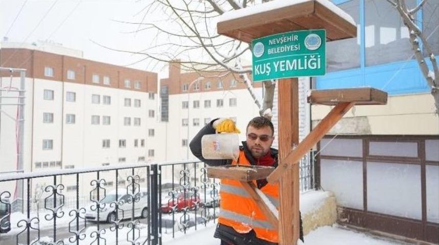 Nevşehir&rsquo;de Kuşlar A&ccedil; Kalmayacak