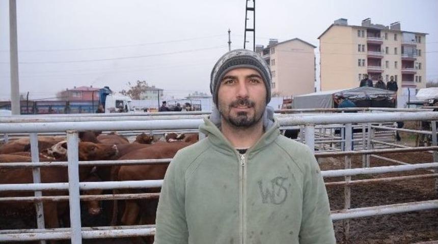 Iğdır&rsquo;da &Ccedil;ift&ccedil;ilere B&uuml;y&uuml;kbaş Hayvan Dağıtımı