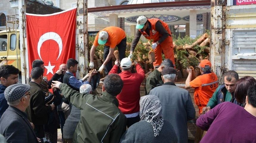 Korkuteli İl&ccedil;esinde &Uuml;cretsiz Fidan Dağıtıldı