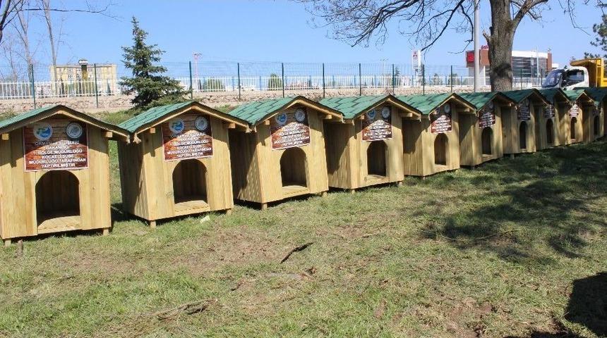 Tapulu K&ouml;pek Evleri Teslim Edildi