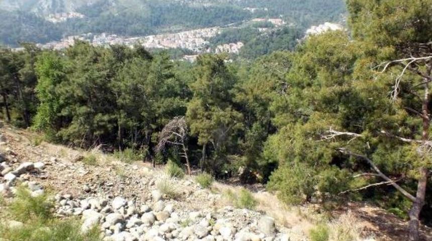 S&uuml;r&uuml;c&uuml; Kazayı Ucuz Atlattı