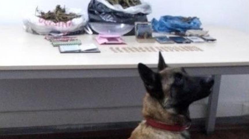 Karabük’te Sahte Altın Ve Uyuşturucu Ele Geçirildi