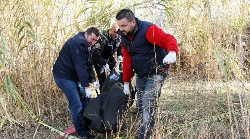 Şişe Ararken Ceset Buldu