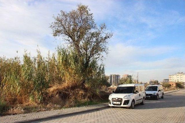 Şişe Ararken Ceset Buldu 2