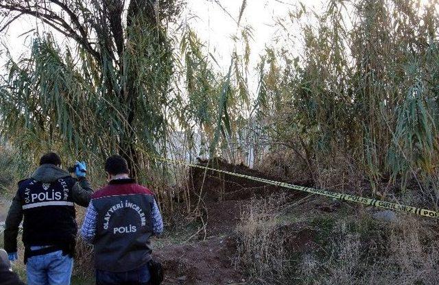 Şişe Ararken Ceset Buldu 3