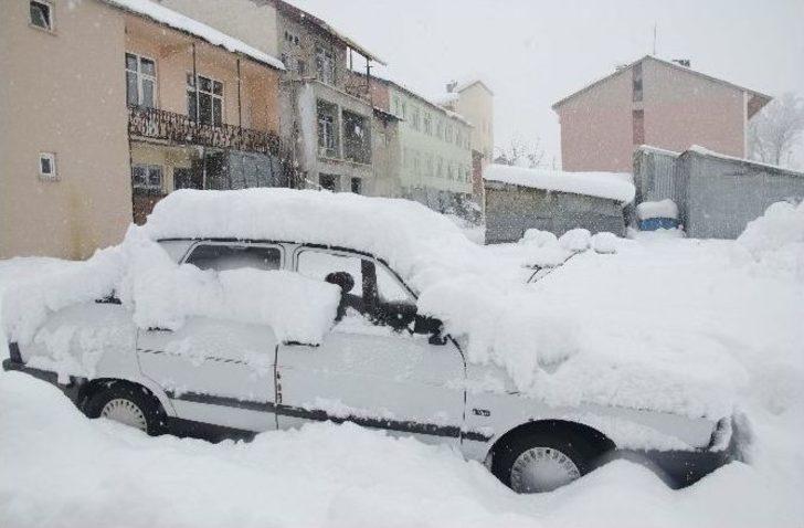 Tunceli’de Kar Çilesi Başladı G2