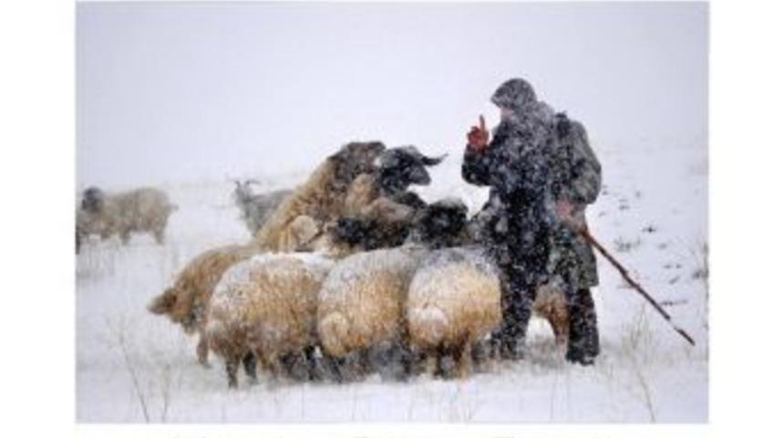 Vanfod Makedonya&rsquo;da Van&rsquo;ı Tanıtacak